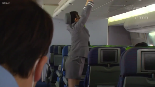 飞机座椅 · 空姐制服 · 飞机机舱 · 站立举手 · 侧后方中景 · 职业制服诱惑 · 整理行李架