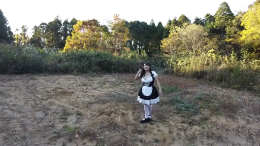 Stand · Display · 平静 · 女仆装 · 野外 · Cosplay