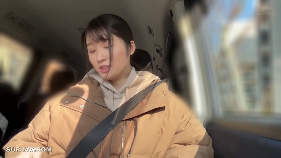 座り姿勢 · 平凡 · シートベルト · 半身像 · 棕色羽绒服 · 汽车内部 · 户外光线 · 系安全带