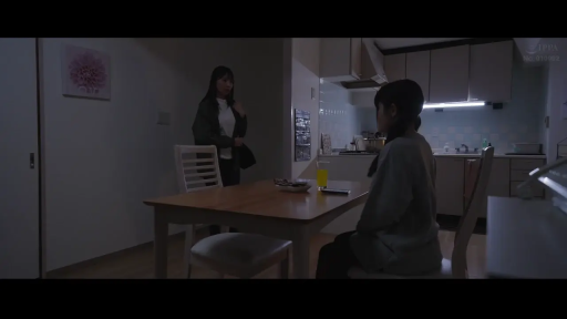 严肃 · 全景 · 交流 · 厨房 · 便装 · 站立与坐姿