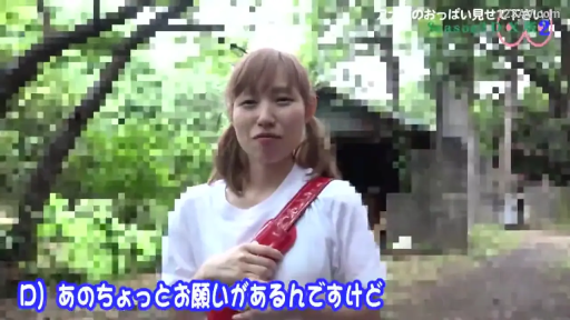 交谈 · 自然 · 半身 · 白色上衣 · 户外 · 日语字幕 · 正面站立 · 红色挎包