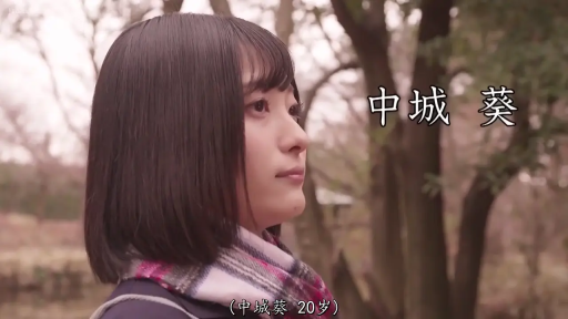 户外 · 头部特写 · 围巾