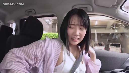 Sitting Posture · 条纹衫 · No · 车内 · Seat belt · 整理衣服 · 咬牙