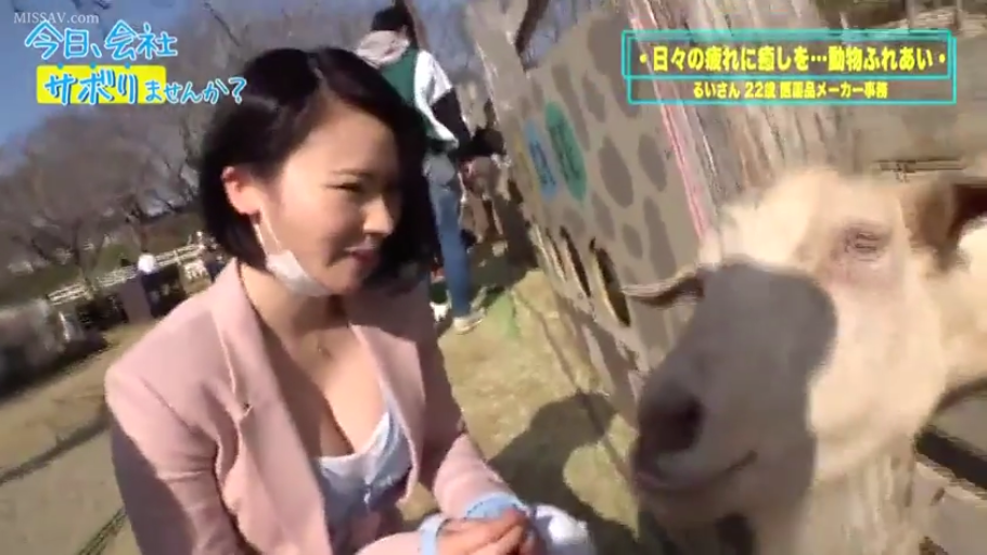 Squat position · Medium shot · 自然 · Outdoor · 互动 · Pink coat · 综艺 · 山羊