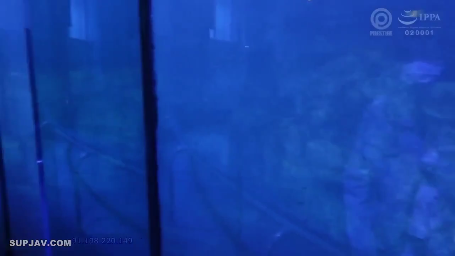 水族馆 · 鱼缸 · 蓝色调