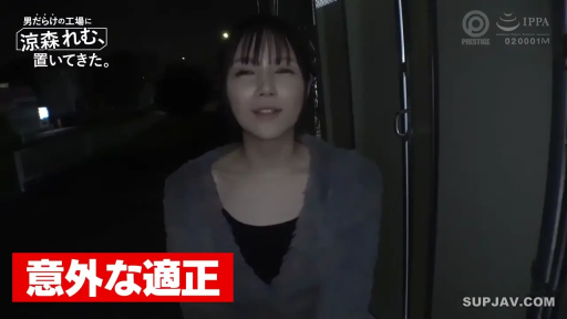 交谈 · 站立 · 微笑 · 面部特写 · 日文字幕 · 灰色毛绒外套 · 户外工厂