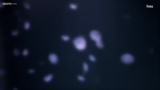 室内 · 胸部 · 站立 · 行走 · ショルダーバッグ · T恤 · 凸点