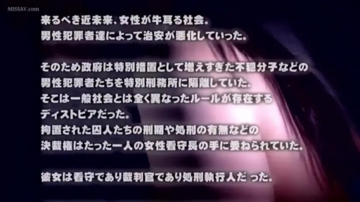 字幕 · 文字 · 背景 · 剧情介绍 · 日语