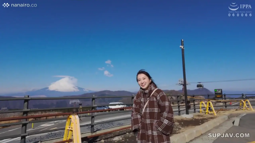 远景 · 正面站立 · 灿烂笑容 · 漫步 · 格纹毛呢大衣 · 山顶观景台