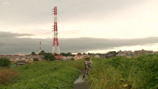 自然 · 远景 · 自行车 · 傍晚 · 骑行 · 休闲便服 · 户外同行 · 郊外田间