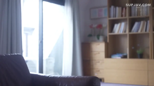 客厅 · 书架 · 模糊