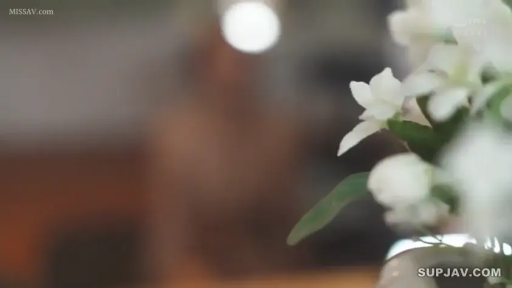 室内 · 盆栽 · 模糊 · 花卉