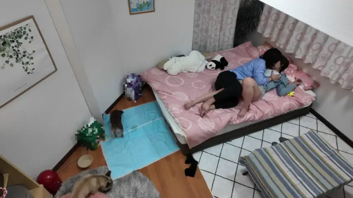 寝室 · 抱擁 · 遠景 · シャツ · キス · 俯瞰撮影 · ぼかし · 毛绒玩具