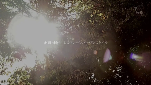 树林 · 片头文字