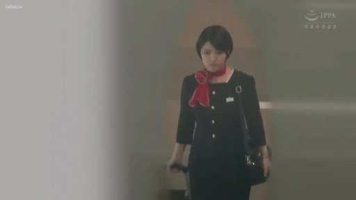 室内 · 严肃 · 行李箱 · 中景 · 职业装 · 走姿 · 空姐制服 · 拉行李箱