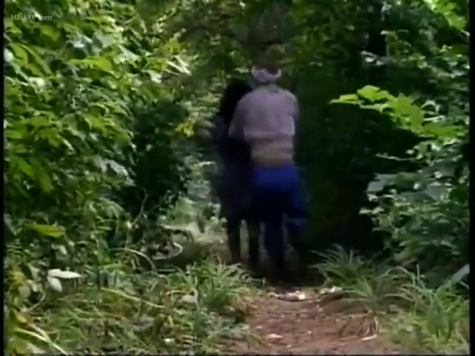 森林 · 长袖衬衫 · 背负