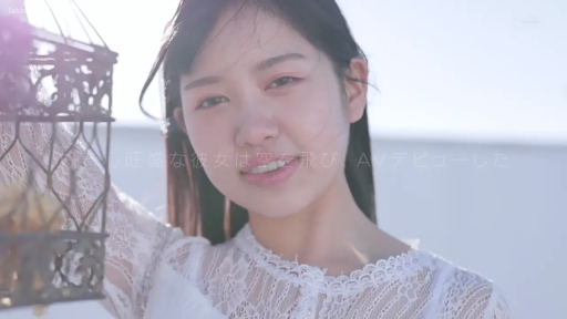 站姿 · 面部特写 · 白色蕾丝上衣 · 户外 · 凝视镜头 · 清纯微笑 · 复古鸟笼