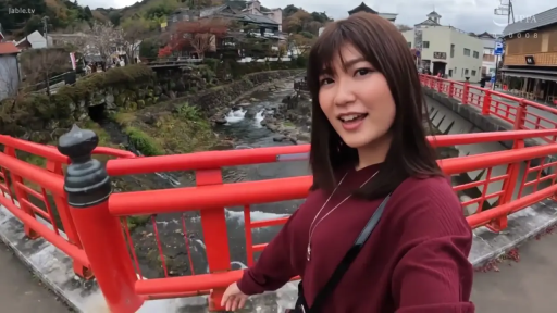 上半身 · 对着镜头说话 · 甜美笑容 · 站立自拍 · 枣红色针织衫 · 户外红桥 · 黑色斜挎包 · 观光旅游