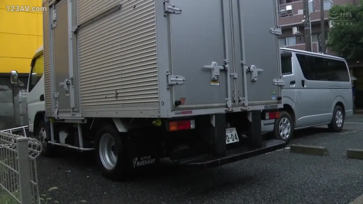 白天 · 户外停车场 · 厢式货车 · 车辆特写