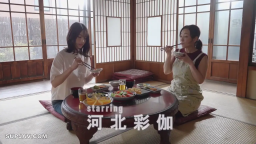 坐姿 · 和室 · 自然 · 远景 · 用餐 · 围裙 · 碗筷 · 日本