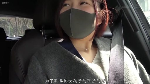 坐姿 · 交谈 · 面部 · 字幕 · 自然 · 车内 · 口罩 · 安全带