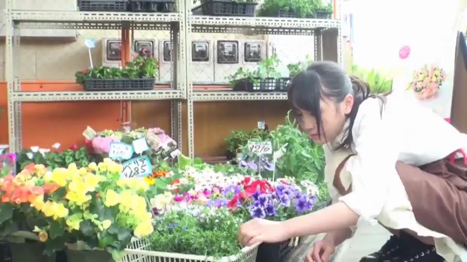 全身 · 专注 · 蹲姿 · 白衬衫 · 盆栽 · 整理花卉 · 花店