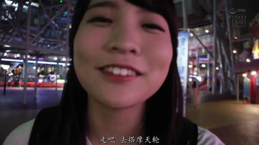 微笑 · 面部特写 · 白色上衣 · 谈话 · 夜景 · 正面 · 游乐园