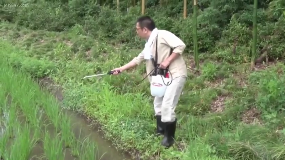 全身 · 专注 · 站姿 · 工作服 · 劳作 · 喷雾器 · 户外农田 · 乡村系列