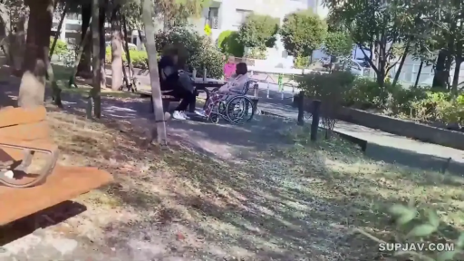 坐姿 · 全景 · 休闲装 · 户外 · 公园 · 模糊 · 轮椅 · 推轮椅