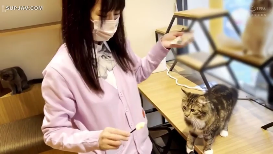 中景 · 站姿 · JK制服 · 长发 · 戴口罩 · 猫咖 · 喂猫 · 猫条