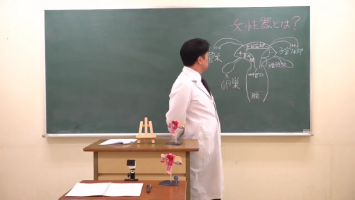 严肃 · 白大褂 · 教室 · 站立 · 中景 · 人体模型 · 日文字幕 · 教学