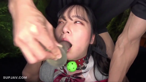 顔 · 口交 · 一人称視点 · 仰頭 · JK制服 · 屋外 · 项圈 · アヘ顔