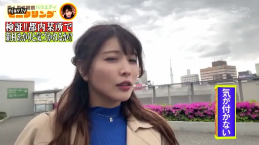 户外 · 蓝色高领毛衣