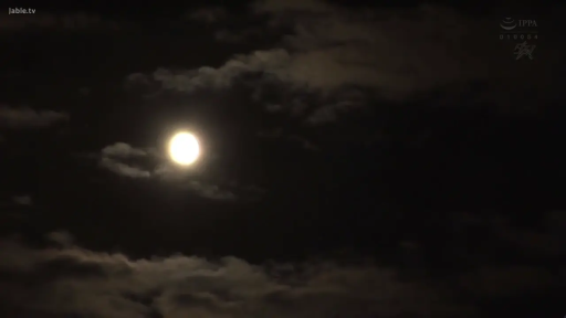 站立 · 中景 · 微笑 · 厨房 · 厨具 · 居家风格 · 碎花围裙 · 持筷