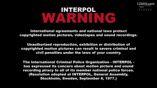 警告画面 · 版权提示