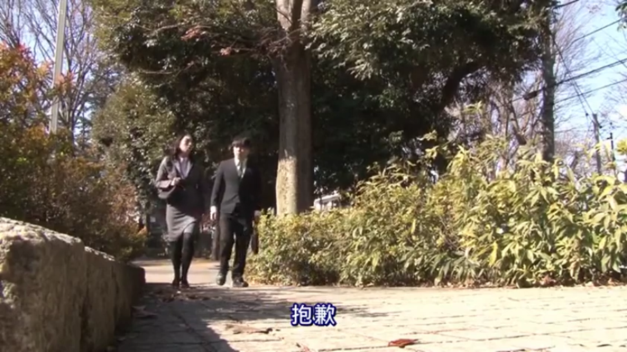 全景 · 自然 · ビジネススーツ · プロット · 行走 · 公園 · 散歩 · 公文包