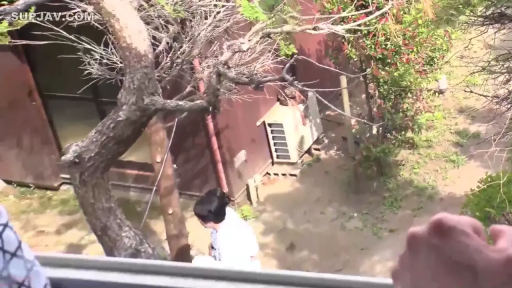 站立 · 全景 · 平静 · 俯拍 · 树木 · 和服 · 走动 · 院子