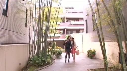 交谈 · 职业装 · 微笑 · 远景 · 手提包 · 行走 · 庭院 · 淑女