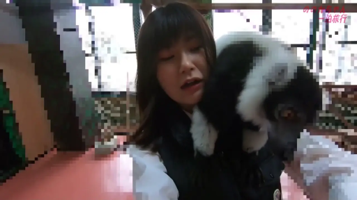 站立 · 中景 · 惊讶 · 動画のスクリーンショット · 马甲 · 动物园 · 抱动物 · 狐猴