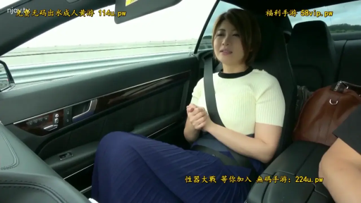 坐姿 · 交谈 · 上半身特写 · 安全带 · 汽车内部 · 户外车载 · 蓝色褶皱裙 · 略微忧郁