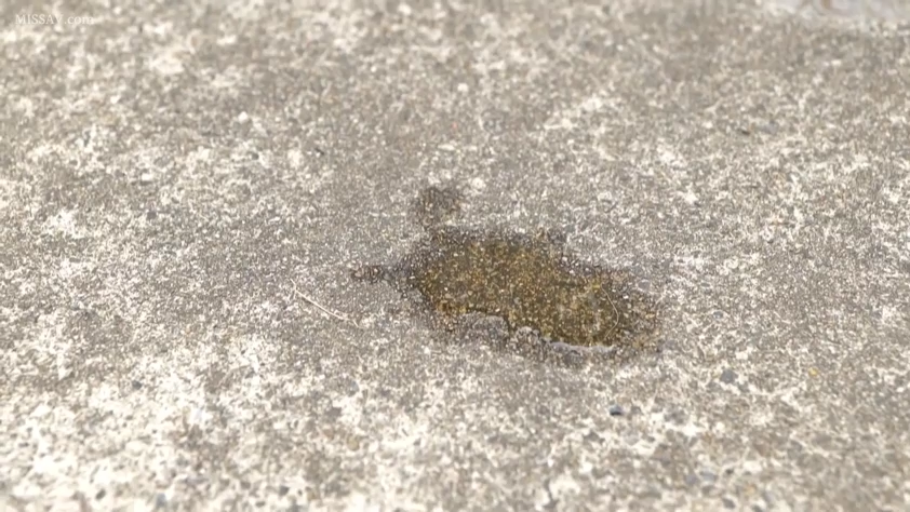 户外 · 地面特写 · 液体残留 · 水泥地