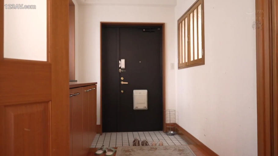 全身 · 站立 · 微笑 · 制服男 · 玄关 · 鞋子 · 白衣蓝裙 · 拉扯交谈