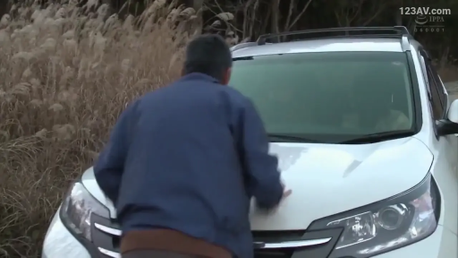 站立 · 观察 · 户外 · 背影 · 汽车 · 夹克