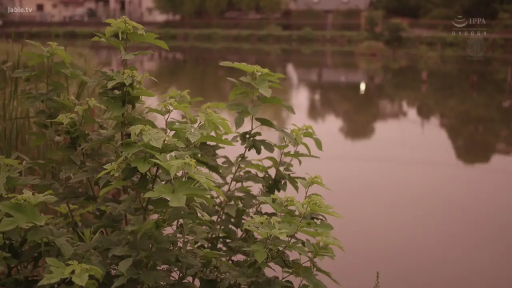 Medium shot · Deep affection · 交流 · 居家室内 · 吊灯 · 站立对视 · Plaid Pajamas · Warm reminder