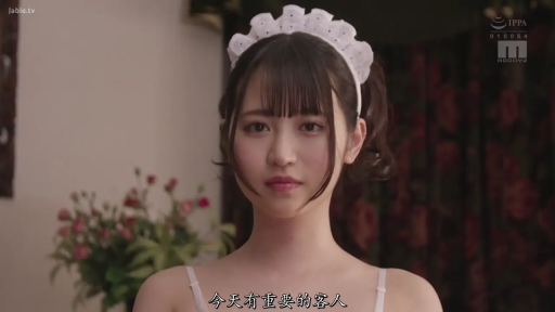 站姿 · 端庄 · 面部特写 · 注视镜头 · 室内房间 · 女仆发饰 · 制服诱惑 · 女仆发饰与内衣