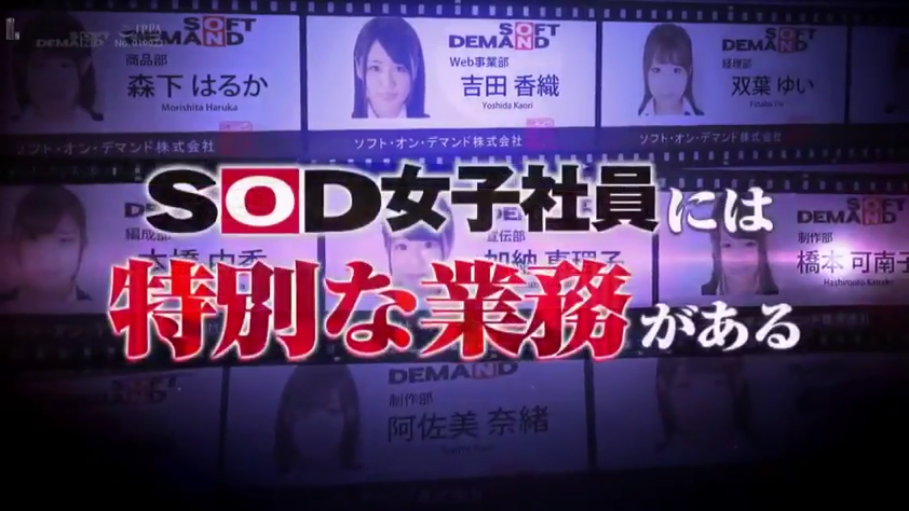 办公室 · 微笑 · 职业装 · 凝视 · 正面 · 头像 · 女职员