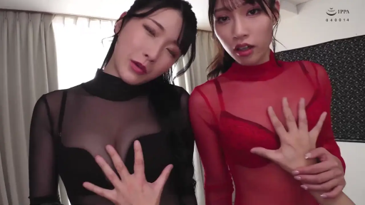 Indoor · Breast close-up · Stand · Hazy · 双人 · Rubbing breasts · 透视装