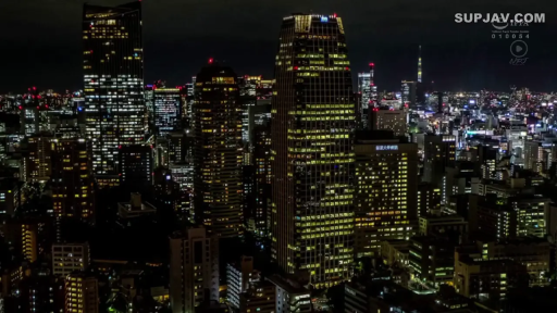 夜景 · 城市街道 · 全景远景 · 摩天大楼