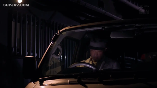 Sitting Posture · Serious · Medium shot · 车内 · 汽车 · 夜晚 · 驾驶 · 工装