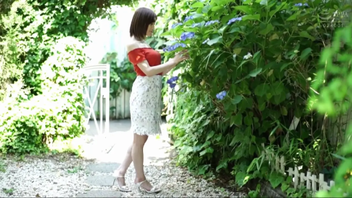 站立 · 全景 · 生活照 · 户外花园 · 恬静 · 花丛 · 赏花 · 白色花裙